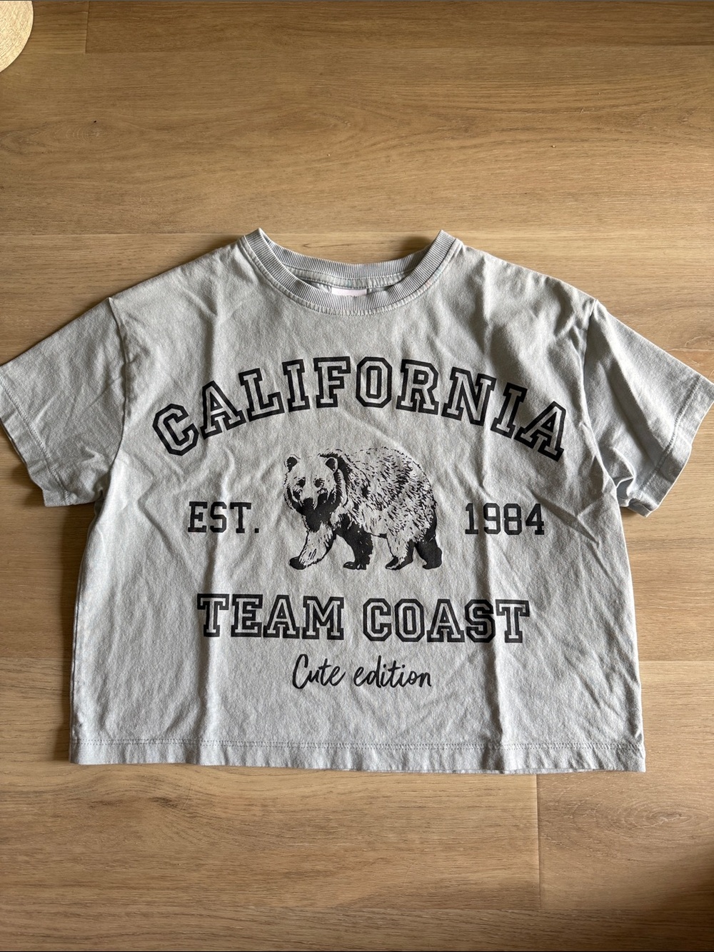 Zara Light Gray Kids 'California Team Coast' Graphic Tee